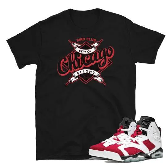 Jordan Carmine 6 Chicago shirt